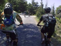 28032010132-web